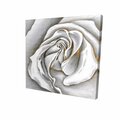 Fondo 32 x 32 in. White Rose Delicate-Print on Canvas FO2791912